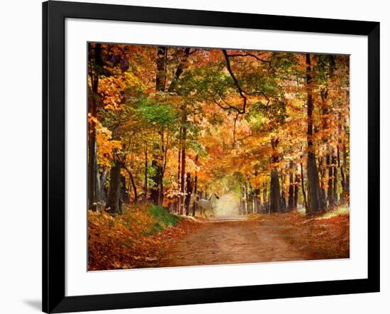 Horse Running across Road in Fall Colors-null-Framed Photographic Print