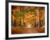 Horse Running across Road in Fall Colors-null-Framed Photographic Print