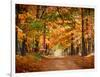 Horse Running across Road in Fall Colors-null-Framed Photographic Print