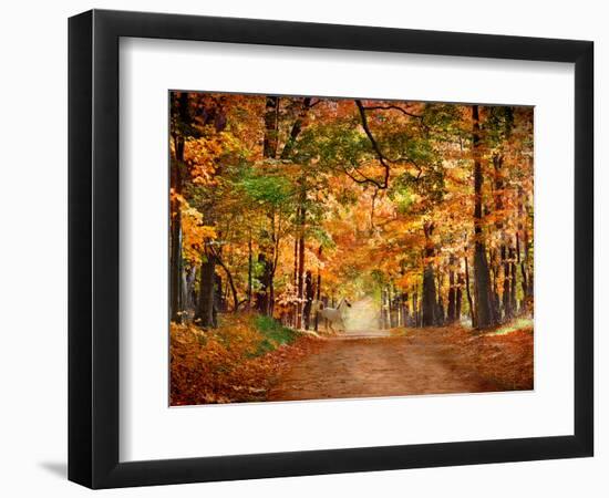 Horse Running across Road in Fall Colors-null-Framed Premium Photographic Print