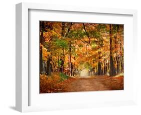 Horse Running across Road in Fall Colors-null-Framed Premium Photographic Print