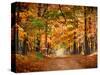 Horse Running across Road in Fall Colors-null-Stretched Canvas