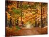 Horse Running across Road in Fall Colors-null-Stretched Canvas