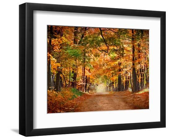 Premium Photographic Print, , large