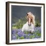 Horse Running by Lupines-Arctic-Images-Framed Photographic Print