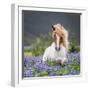 Horse Running by Lupines-Arctic-Images-Framed Photographic Print