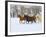 Horse Running, Shell, Wyoming, USA-Terry Eggers-Framed Photographic Print