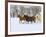 Horse Running, Shell, Wyoming, USA-Terry Eggers-Framed Photographic Print