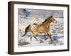 Horse Running, Shell, Wyoming, USA-Terry Eggers-Framed Photographic Print