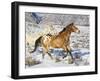 Horse Running, Shell, Wyoming, USA-Terry Eggers-Framed Photographic Print