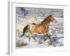 Horse Running, Shell, Wyoming, USA-Terry Eggers-Framed Photographic Print