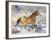 Horse Running, Shell, Wyoming, USA-Terry Eggers-Framed Photographic Print