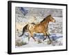 Horse Running, Shell, Wyoming, USA-Terry Eggers-Framed Photographic Print