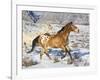 Horse Running, Shell, Wyoming, USA-Terry Eggers-Framed Photographic Print