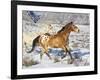 Horse Running, Shell, Wyoming, USA-Terry Eggers-Framed Photographic Print