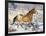 Horse Running, Shell, Wyoming, USA-Terry Eggers-Framed Photographic Print