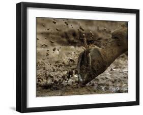 Horse Runs Through the Mud at Churchill Downs in Louisville, Kentucky-null-Framed Photographic Print