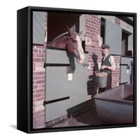 Horse's Feeding Time-Charles Woof-Framed Stretched Canvas