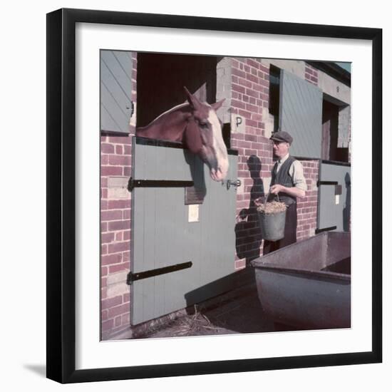 Horse's Feeding Time-Charles Woof-Framed Photographic Print