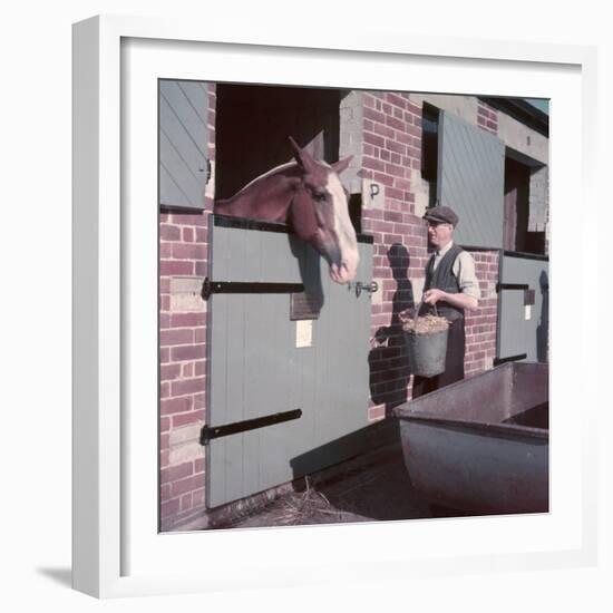 Horse's Feeding Time-Charles Woof-Framed Photographic Print