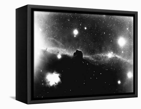 Horse's Head in Orion Nebula-null-Framed Stretched Canvas