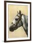 Horse's Head with Bridle-null-Framed Art Print