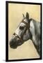 Horse's Head with Bridle-null-Framed Premium Giclee Print