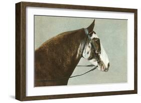 Horse's Head-null-Framed Art Print