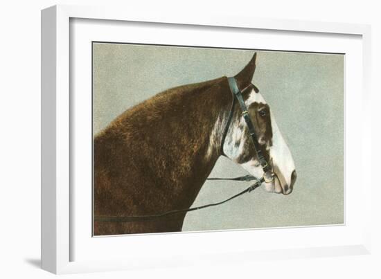 Horse's Head-null-Framed Art Print