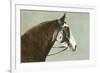 Horse's Head-null-Framed Premium Giclee Print