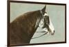 Horse's Head-null-Framed Premium Giclee Print