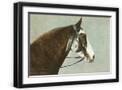Black Frame
