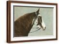 Brown Frame