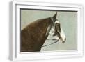 White Frame