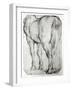 Horse's Rear-Peter Paul Rubens-Framed Giclee Print