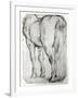 Horse's Rear-Peter Paul Rubens-Framed Giclee Print