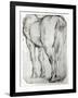 Horse's Rear-Peter Paul Rubens-Framed Giclee Print