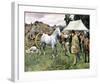 Horse Sale-Sir Alfred Munnings-Framed Premium Giclee Print