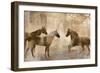 Horse Sense-Jason Mann-Framed Art Print