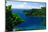 Horse Shoe Bay, Fiji, South Pacific, Pacific-Bhaskar Krishnamurthy-Mounted Photographic Print