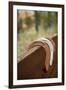 Horse Shoes-Karyn Millet-Framed Photographic Print