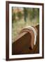 Horse Shoes-Karyn Millet-Framed Photographic Print