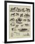 Horse Show at Manchester-Alfred Chantrey Corbould-Framed Giclee Print