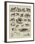 Horse Show at Manchester-Alfred Chantrey Corbould-Framed Giclee Print
