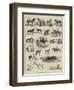 Horse Show at Manchester-Alfred Chantrey Corbould-Framed Giclee Print