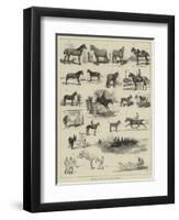 Horse Show at Manchester-Alfred Chantrey Corbould-Framed Giclee Print