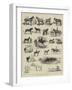 Horse Show at Manchester-Alfred Chantrey Corbould-Framed Giclee Print