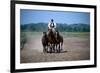 Horse show in Bugac, Bacs-Kiskun, Hungary-null-Framed Premium Giclee Print