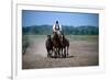 Horse show in Bugac, Bacs-Kiskun, Hungary-null-Framed Premium Giclee Print