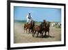 Horse show in Bugac, Bacs-Kiskun, Hungary-null-Framed Premium Giclee Print